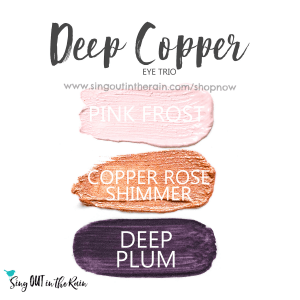 Deep Copper Eye Trio, Pink Frost ShadowSense, Copper Rose Shimmer ShadowSense, Deep Plum ShadowSense