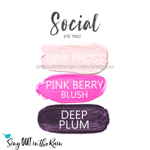 social Eye Trio, pink frost shadowsense, pink berry blushsense, deep plum shadowsense