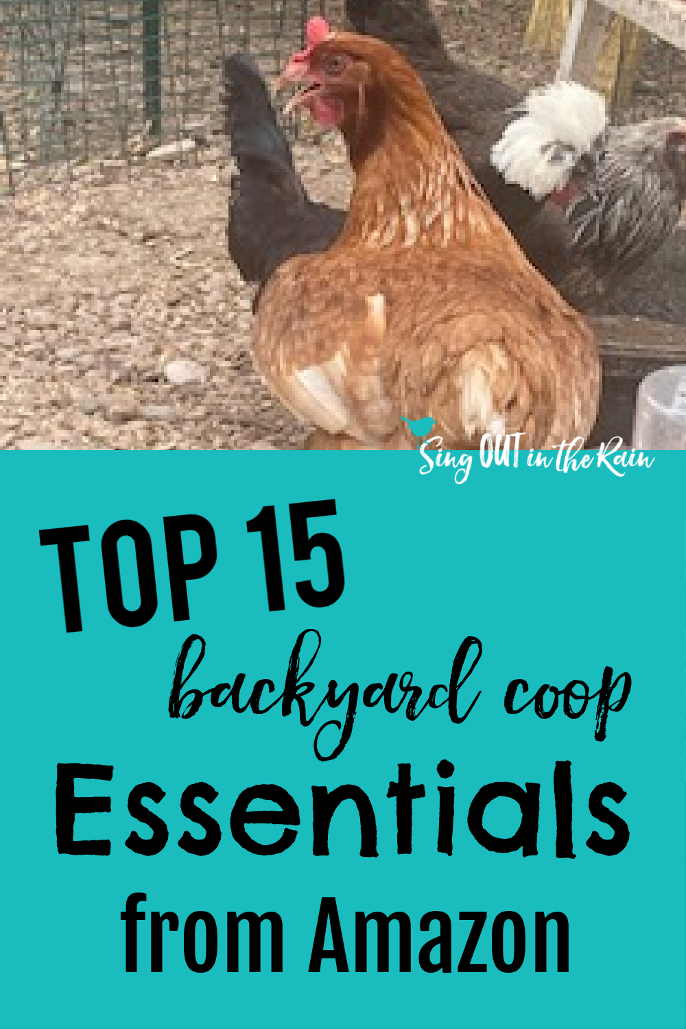 TOP 15 Backyard Coop Essentials on Amazon