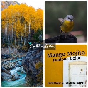 Mango Mojito, Pantone Color, 2019 Pantone Color