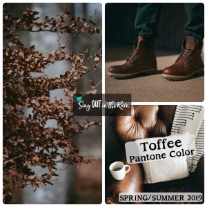 Toffee, Pantone Color, 2019 Pantone Color