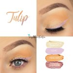 Tulip Eye Look, Buttercream Shimmer ShadowSense, Lilac Shadowsense, Peaches ShadowSense, Mauve Shimmer ShadowSense