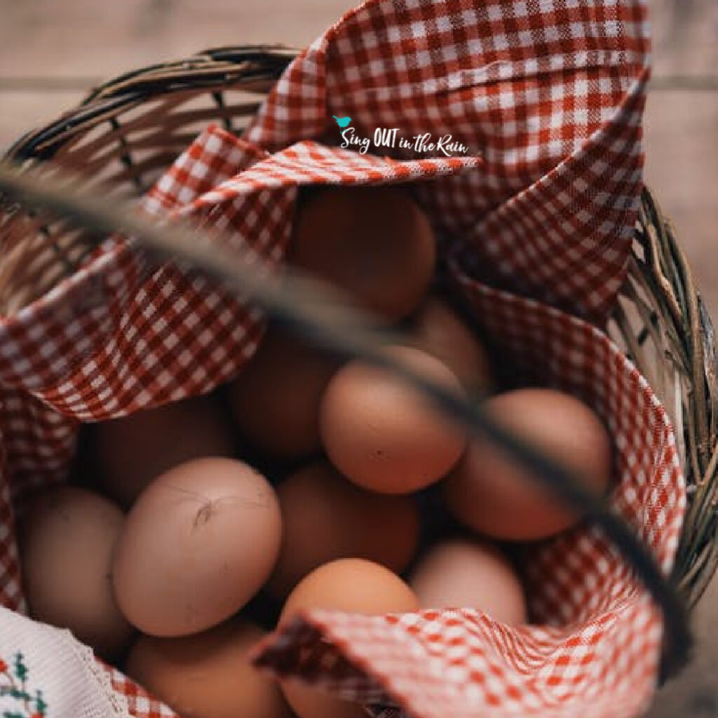 Chicken Egg Baskets for Fresh Eggs Wire Ceramic Fresh Egg Holder Basket  Collect